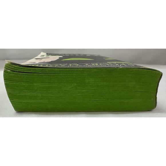 2007 PB Wicked Gregory Maguire Wicked Witch of the West OZ Sprayed Green edges - Picture 5 of 8